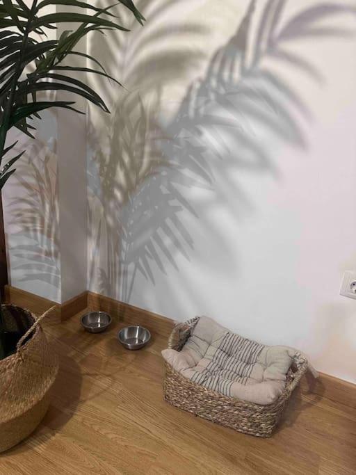 Apartamento El Picu Collanzo Exterior photo